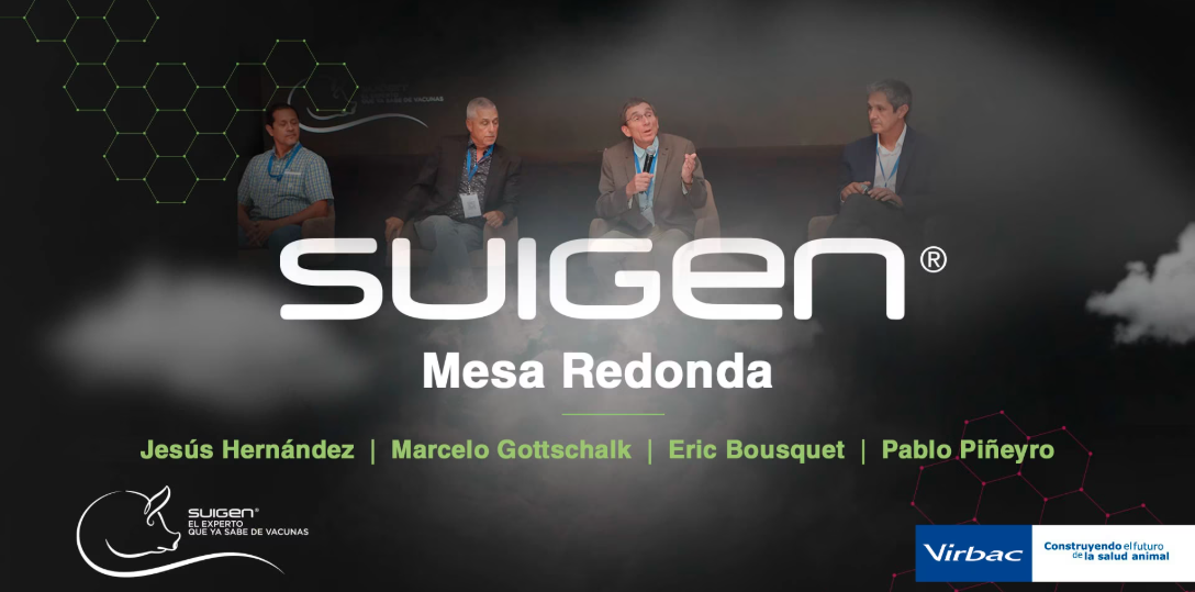 Suigen 2